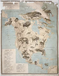 Map of Animals in North America